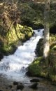 Torrent La Savoureuse